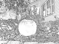 cucurbita Coloring Pages To Print